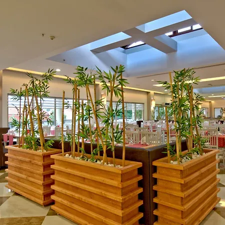 Tt Tropical Family Life Tropical Sarigerme