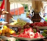 Tt Tropical Family Life Tropical Sarigerme