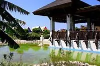 Tt Tropical Family Life Tropical